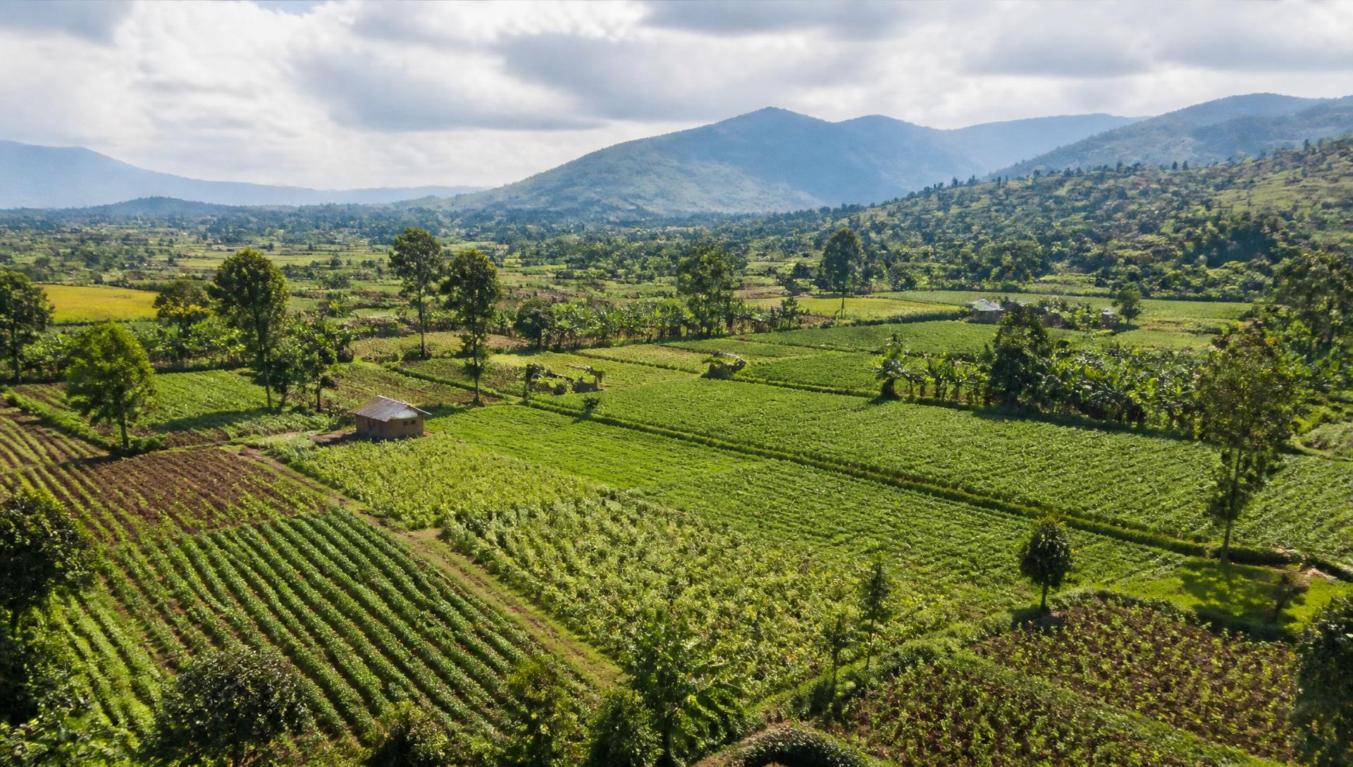Aerial view of patchwork farm fields and mountains